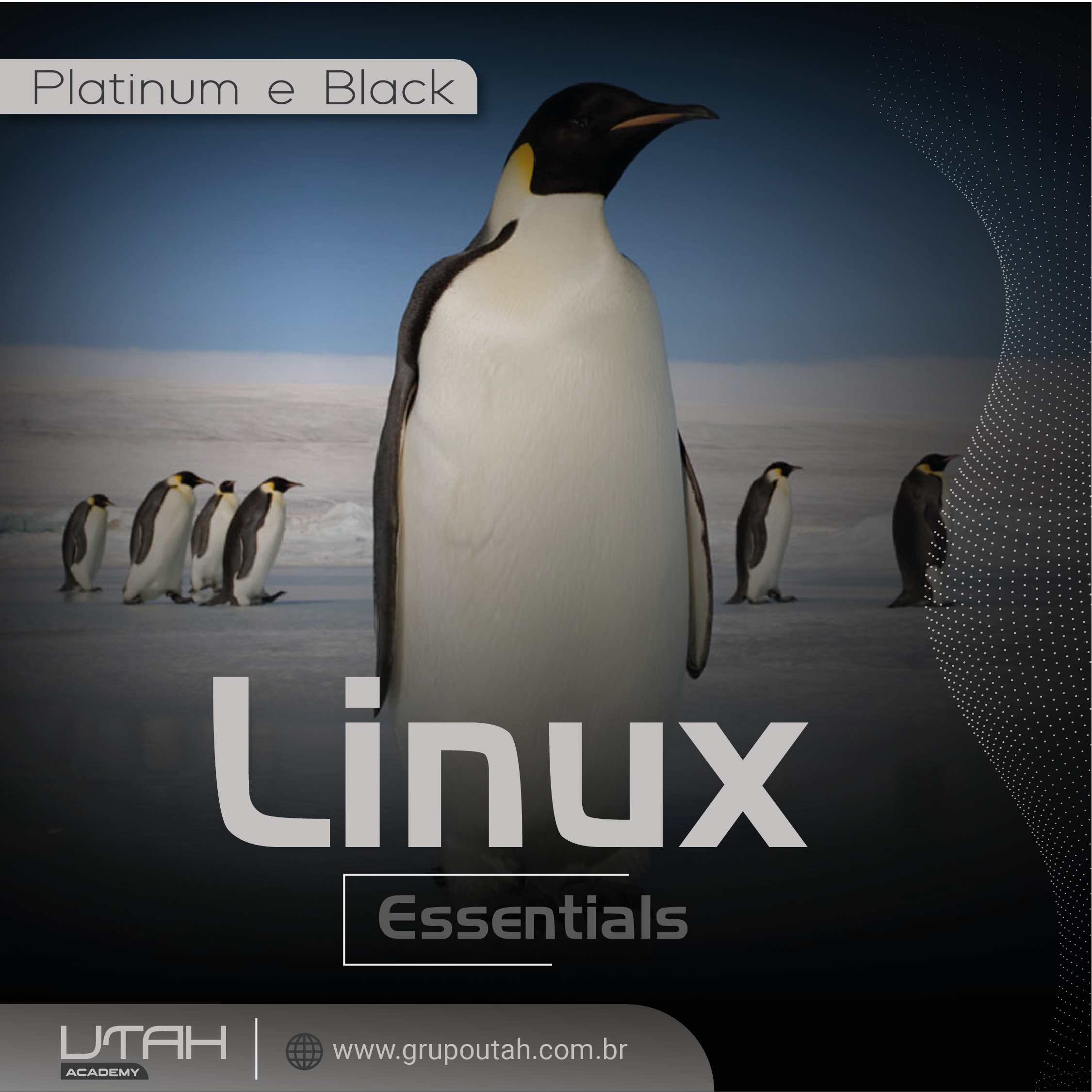 Linux Essentials 